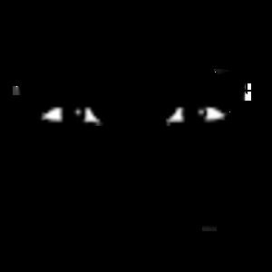 Meet your Posher, Constanza